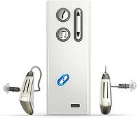   oticon dual
